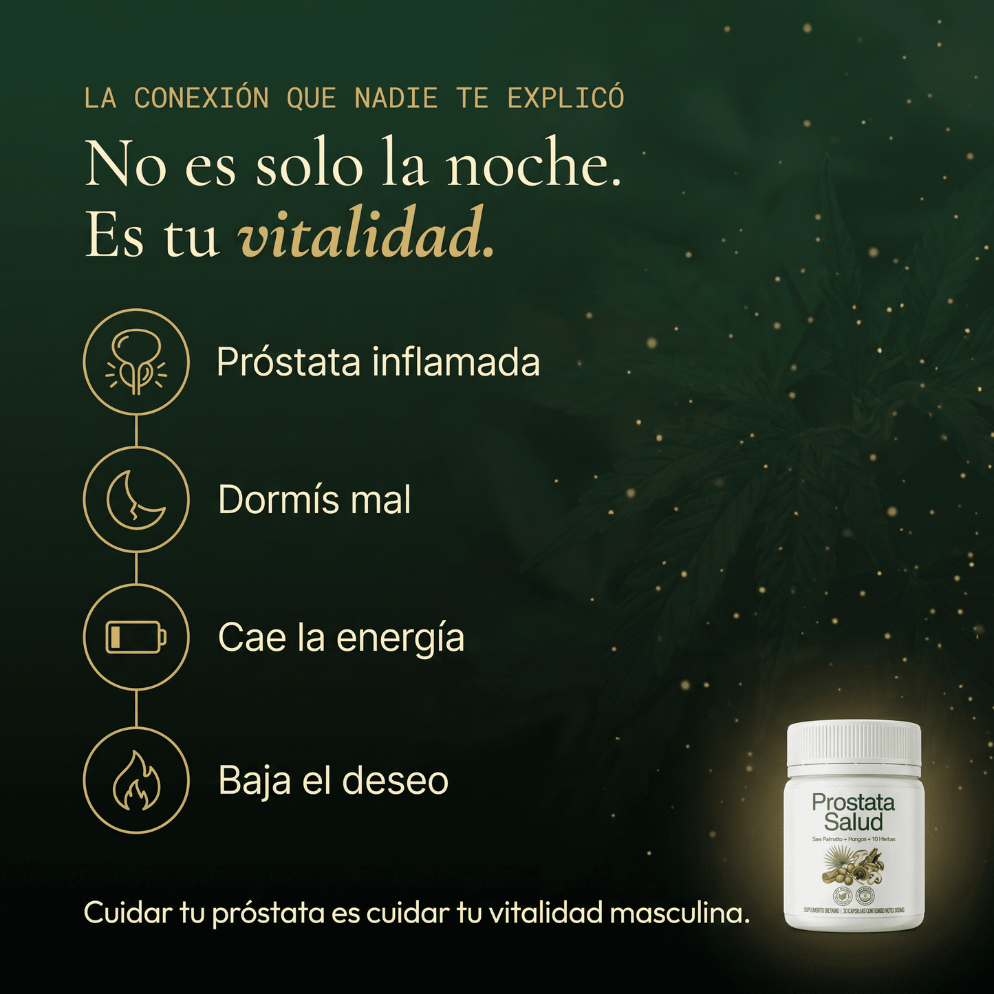Prostata Salud